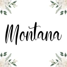 Montana Fonts