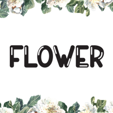 Flower | Script Font