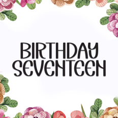 Birthday Seventeen | Script Font