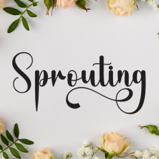 Sprouting | Script Font