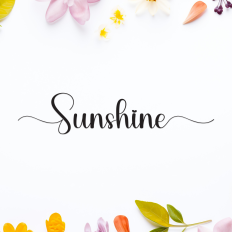Sunshine | Script Font