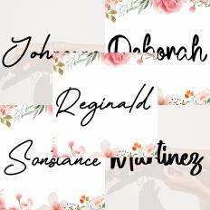 Font Collection Bundle 54
