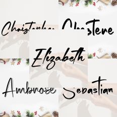Font Collection Bundle 55