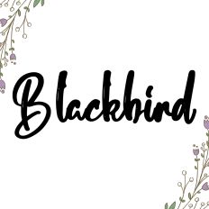 Blackbird Fonts