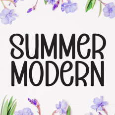 Summer Modern | Script Font