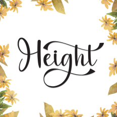 Height | Script Font