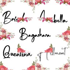 Font Collection Bundle 58