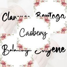 Font Collection Bundle 59