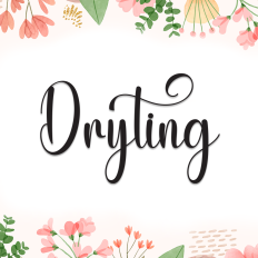Dryting | Script Font