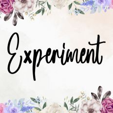 Experiment Fonts