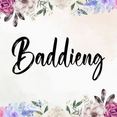 Baddieng Fonts