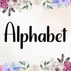 Alphabet Fonts