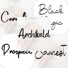 Font Collection Bundle 61