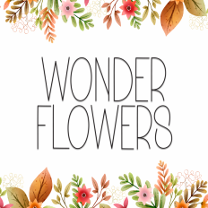 Wonder Flowers | Script Font
