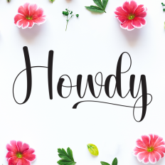 Howdy | Script Font
