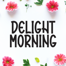 Delight Morning | Script Font