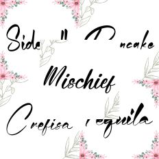 Font Collection Bundle 65