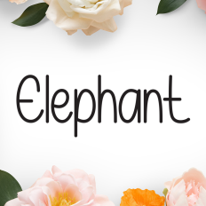 Elephant | Script Font