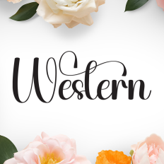 Western | Script Font