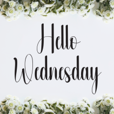 Hello Wednesday | Script Font
