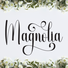 Magnolia | Script Font