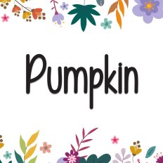 Pumpkin | Script Font