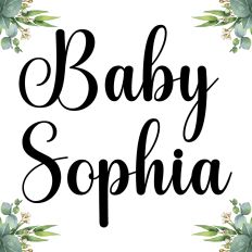 Baby Sophia Fonts
