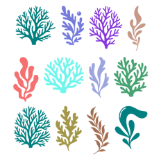 Set of Seaweed and Coral Silhouettes