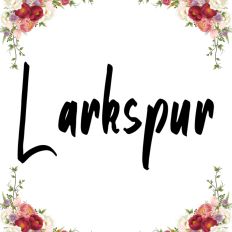Larkspur Fonts