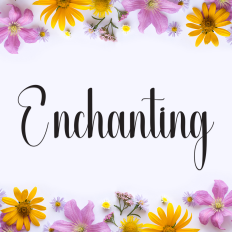 Enchanting | Script Font