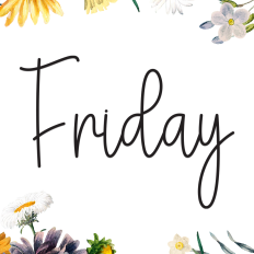 Friday | Script Font