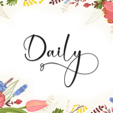 Daily | Script Font