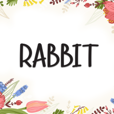 Rabbit | Script Font