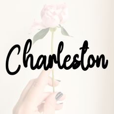 Charleston Fonts