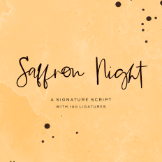 Saffron Night Script Font
