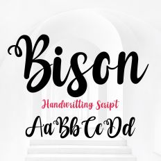 Bison