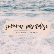 Summer Paradise Script