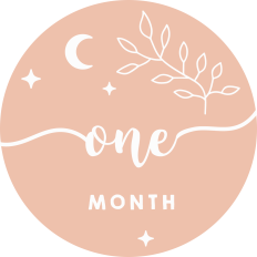 Baby Milestone