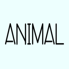 Animal