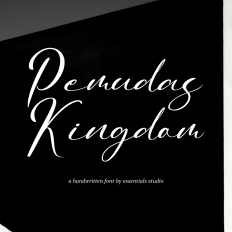 Pemudas Kingdom - Elegant Script Font