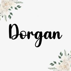 Dorgan