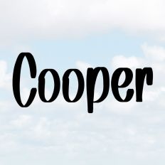 Cooper