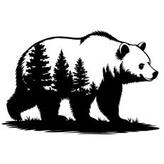 Bear Mountain Scene