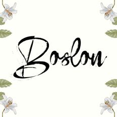 Boslon