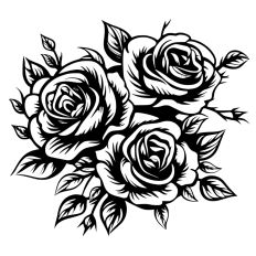 Roses