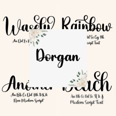 Font Collection Bundle 1