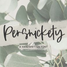 Persnickety Script Font