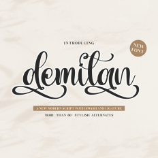 Demilan - Handwritten Script Font with Swash