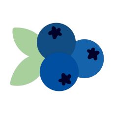 Blueberries 