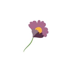 Flower Designs